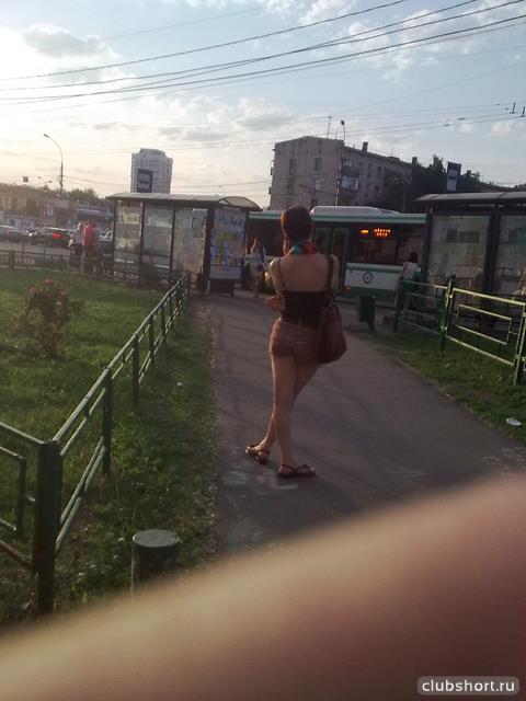 16069_bus_stop0484.jpg